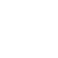 Veterinarian